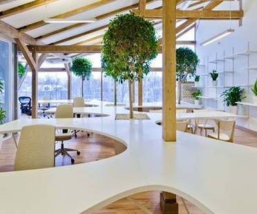 Office Greenhouse: a green space to work in.
