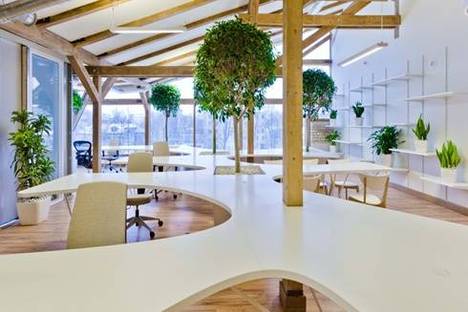 Office Greenhouse: a green space to work in.
