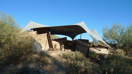 Brittlebush. Experimental desert shelter.
