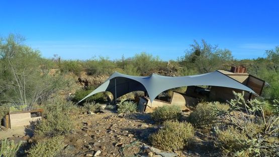 Brittlebush. Experimental desert shelter.

