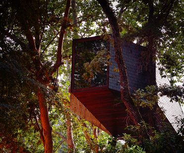 Architecture in the woods: The Tree Snake Houses
