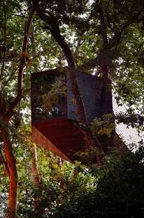 Architecture in the woods: The Tree Snake Houses
