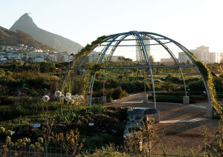Green Point Urban Park, Cape Town, WDC 2014
