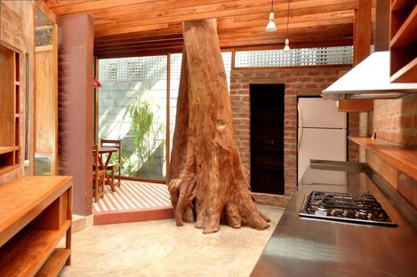 Designing a kitchen around a tree. Ghezzi Novak, Lima. 
