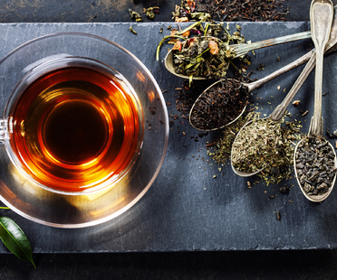 A voyage through the world of tea: phytopharmacological properties
