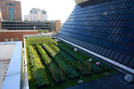 © Boston Medical Center Rooftop Farm Installation by Recover Green Roofs